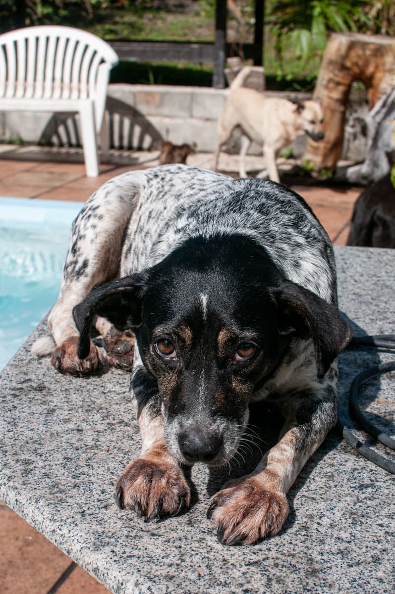 Foto de Constelação