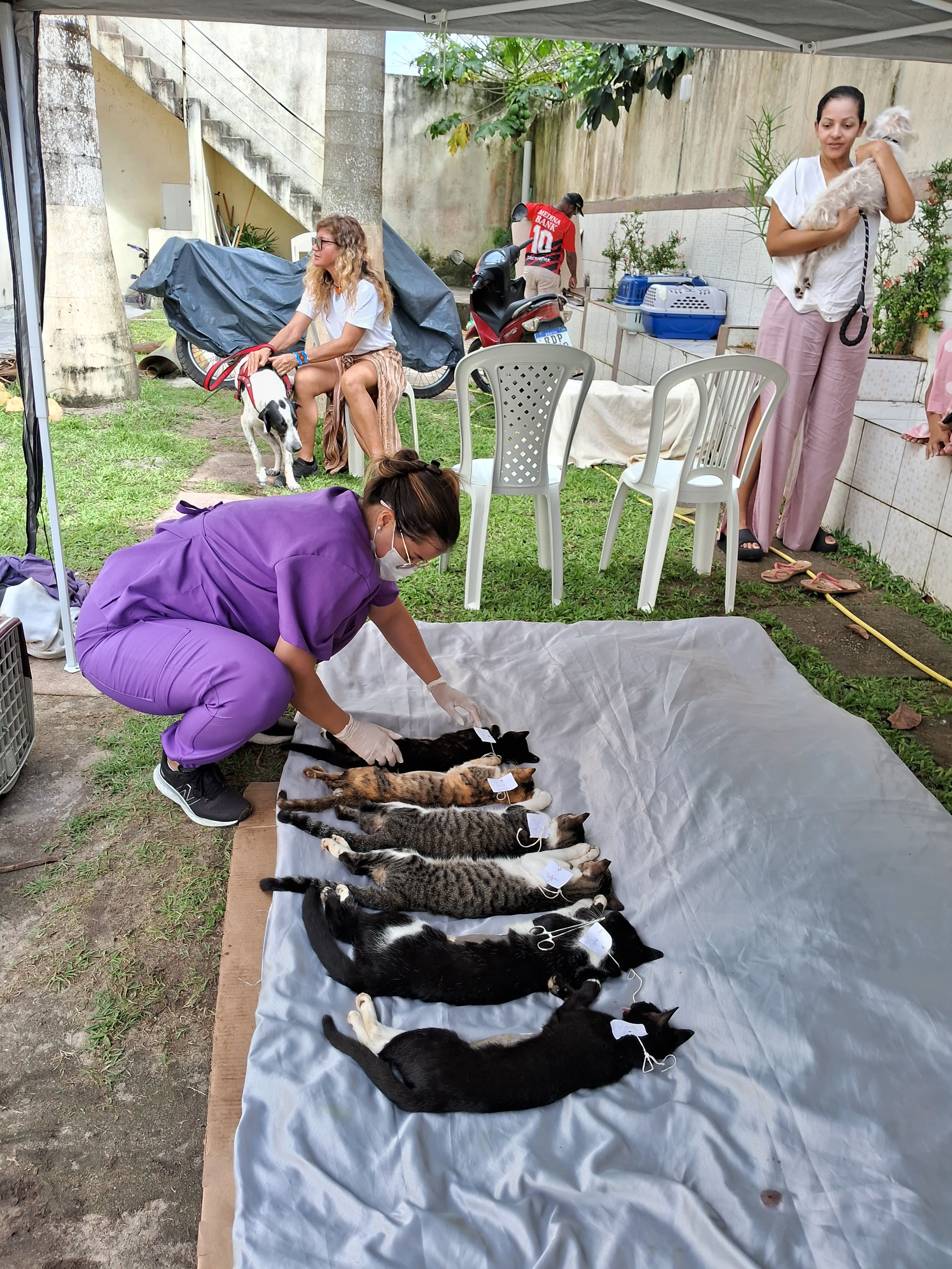 Voluntários da Anjos d'Ajuda em mutirão de castração com Peregrinos Vet