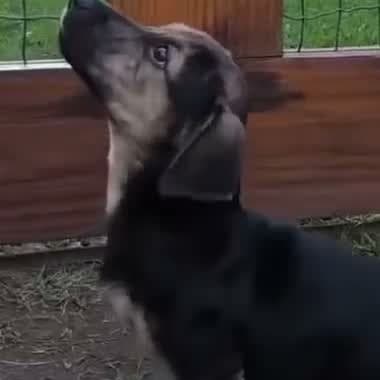Foto de Bibi