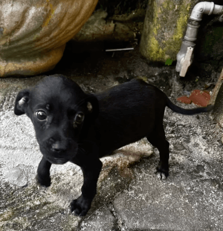Foto de Esperança