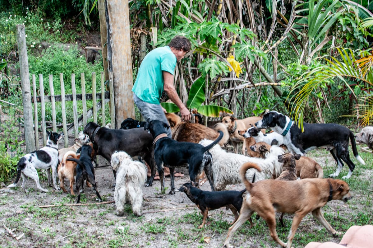 Voluntário da Anjos d'Ajuda rodeado por cães resgatados em Arraial d'Ajuda, Bahia