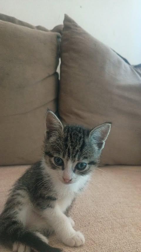 Coco
